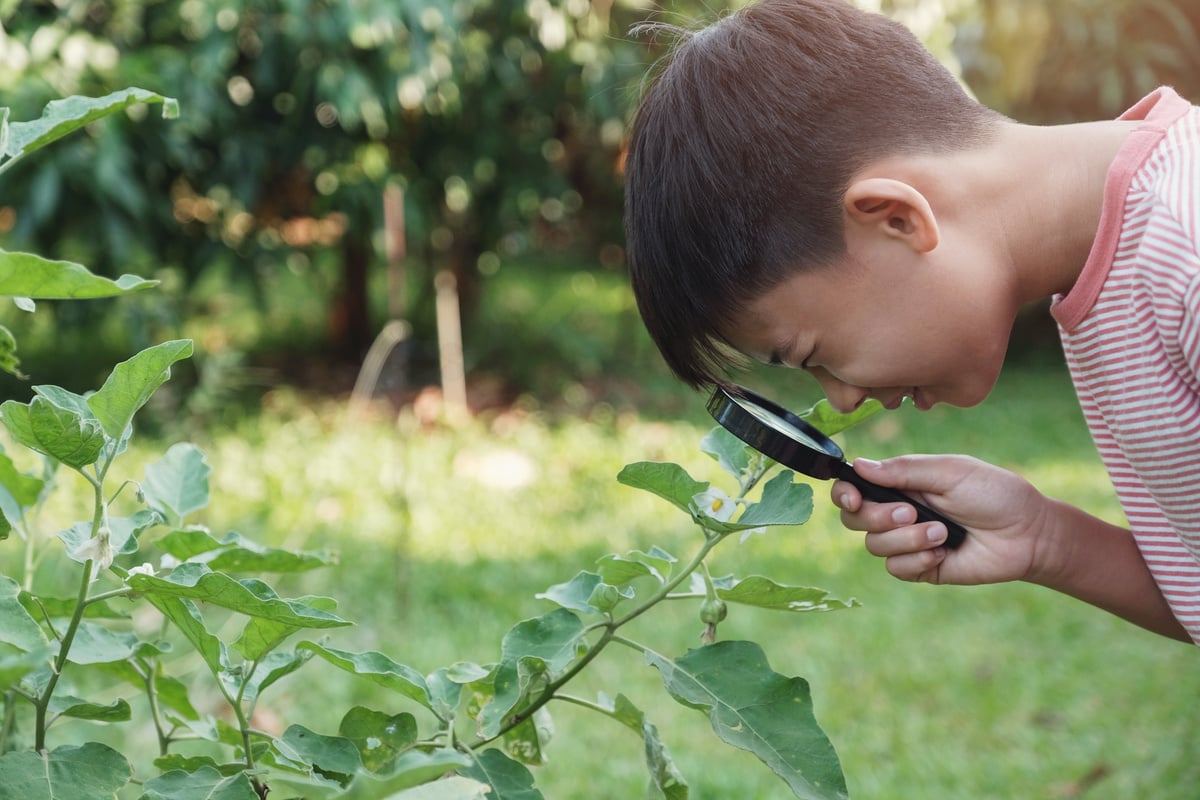 Tween Asian boy looking at leaves through a magnifying glass, montessori homeschool education, Plant pathology